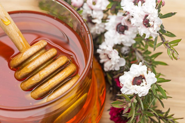 عسل طبیعی برای پیشگیری از بیماری کرونا