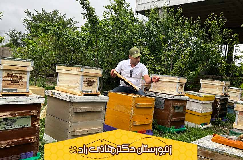 نگهداری صحیح عسل برای جلوگیری از فاسد شدن آن